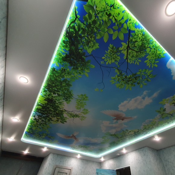 Наши работы