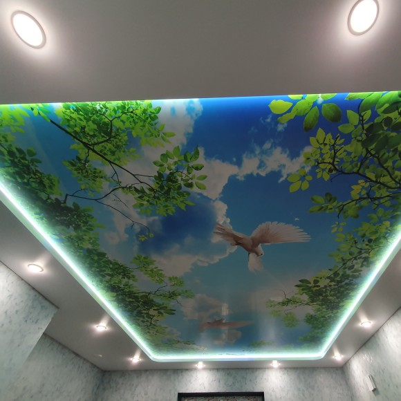 Наши работы